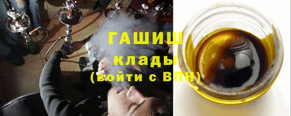 сатива Ельня