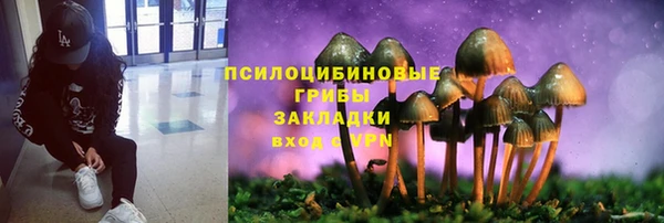 гашишное масло Заводоуковск