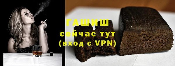 сатива Ельня
