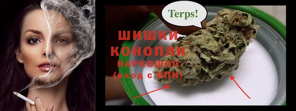метадон Елизово