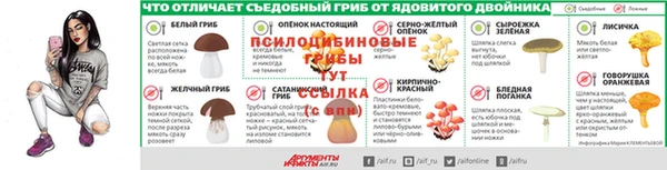 метадон Елизово