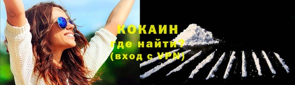 сатива Ельня