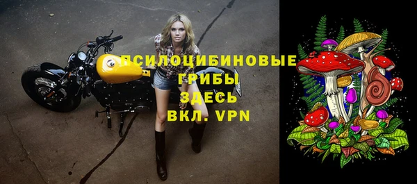 сатива Ельня