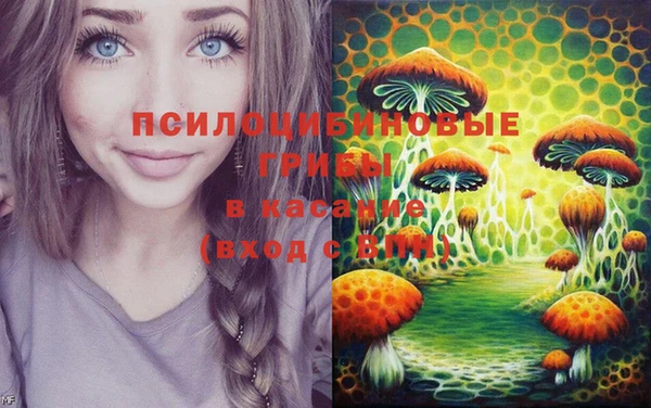 сатива Ельня