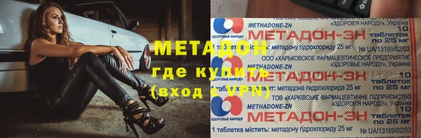 сатива Ельня