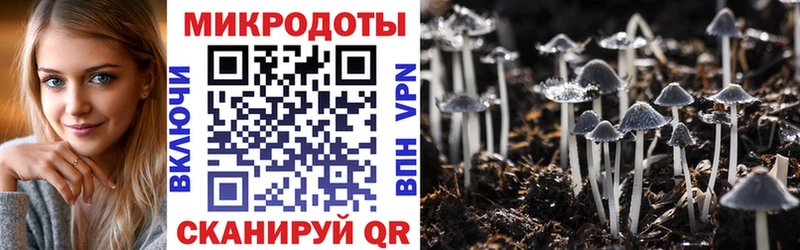 наркошоп  Северск  Галлюциногенные грибы мухоморы 