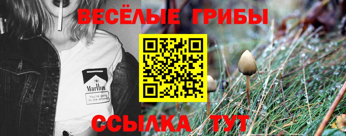 Северск  Псилоцибиновые грибы прущие грибы  Вход с VPN  наркота  Галлюциногенные грибы Magic Shrooms 
