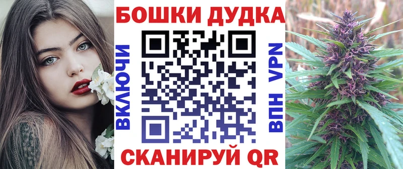 Шишки марихуана план  ссылка на мегу зеркало  Северск 